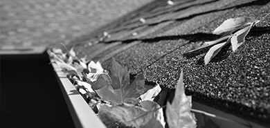 GUTTER CLEANING